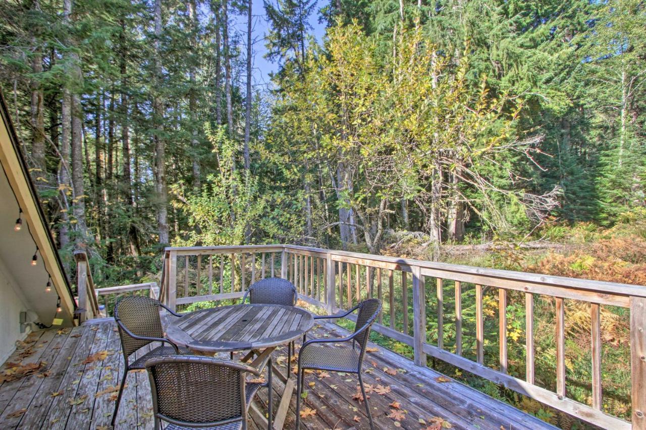 Owls Nest Studio With Hot Tub Hike Nearby! Ashford Exterior foto